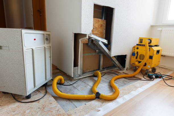 Best Forensic Mold Investigation  in Southwood Acres, CT