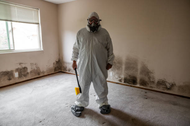Best HVAC Mold Inspection and Cleaning  in Southwood Acres, CT